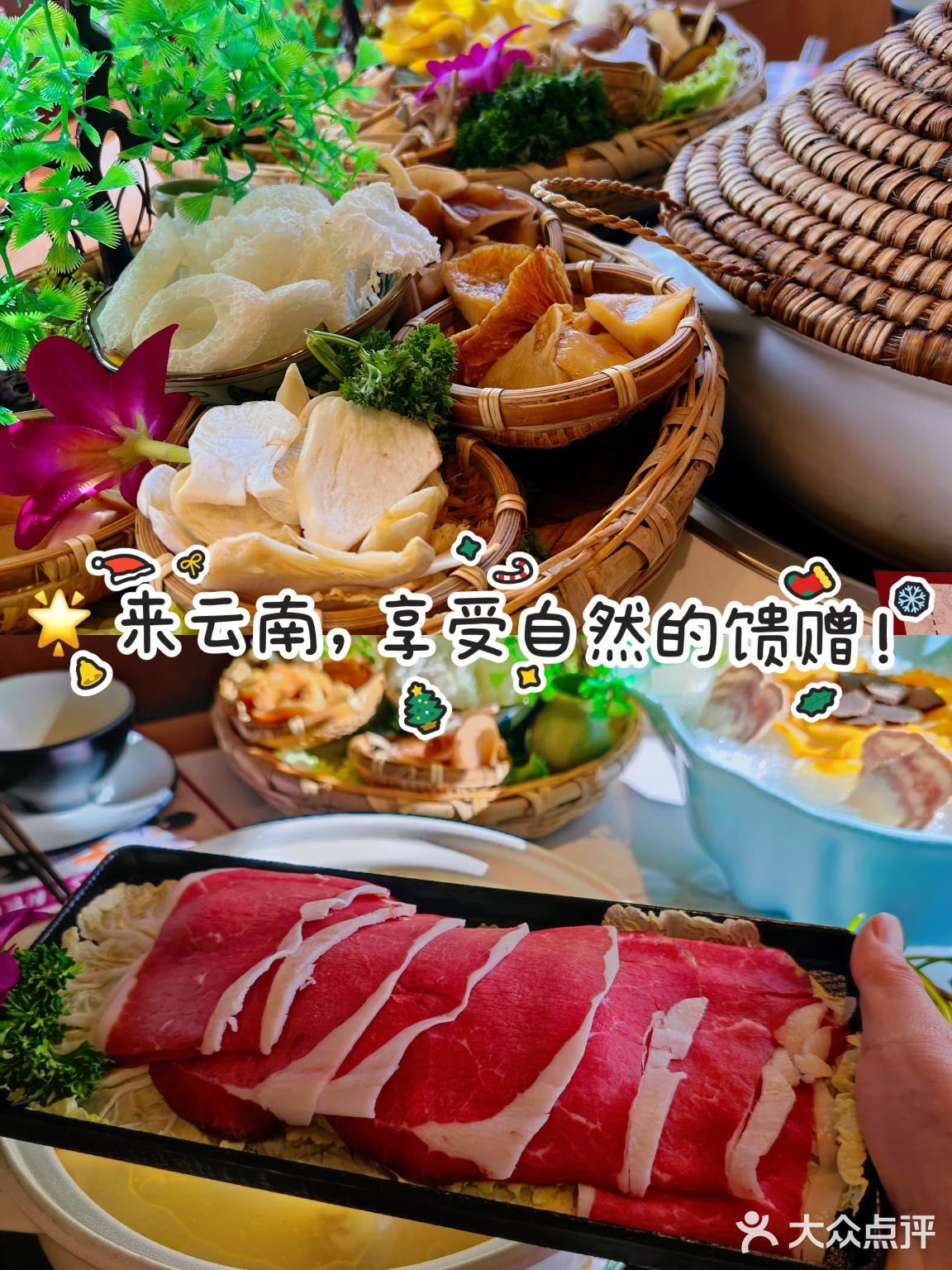 🌟 来云南，享受自然的馈赠！