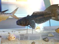 -上海中国航海博物馆