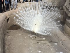-哈尔滨北方森林动物园