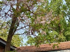 -西安电影制片厂