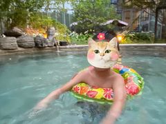 -中家鑫园温泉酒店鑫悦汤泉