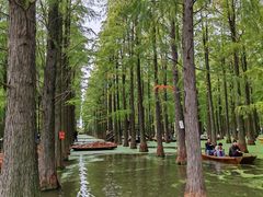 -渌洋湖湿地公园