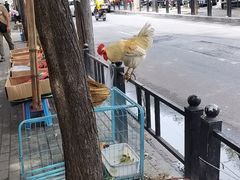 -桃源市场(解放路店)