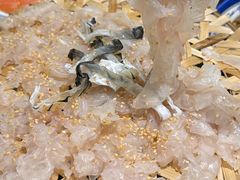 -官塘陈记鱼生·潮汕砂锅粥·牛肉火锅(潮枫路总店)