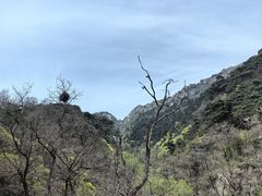 -泰山风景名胜区