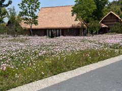 -良渚古城遗址公园