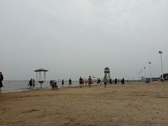 -碧海金沙