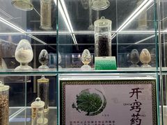 -广东中医药博物馆