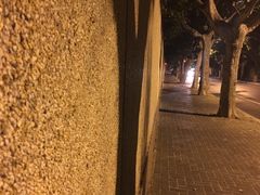 -东北四季饺子王(华山路店)