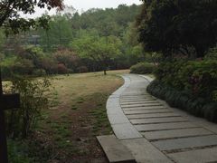 -杭州黄龙洞