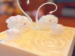 -BLACKSWAN黑天鹅(环球店)