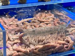 -金太阳海鲜烧烤·本地人餐厅(东纬路旗舰店)