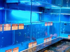 -协成海鲜火锅(海洋花园店)