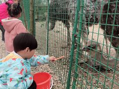 -扬州天乐湖嬉乐谷
