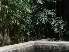 -龙达温泉生态城