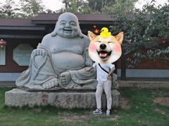 -惠和石文化园