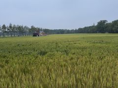 -嘉北郊野公园
