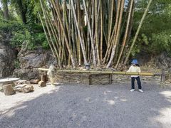 -南诏风情岛