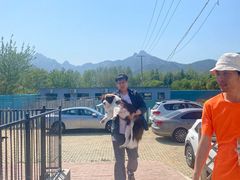 -趣玩宠物乐园寄养训犬训狗游泳池