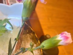 -鸟鹏烧鸟居酒屋(昌岗店)