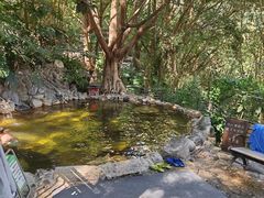 -湖泉半山温泉(湖泉生态园)