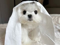 -中田健身工作室(中针商务店)