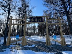 -塞罕坝国家级自然保护区