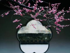 -红梅公园