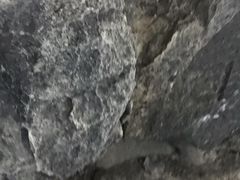 -翠屏五指山景区