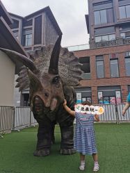 -恐龙探索乐园(磁器口店)