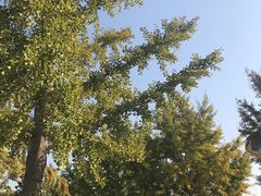 -南宫温泉水世界