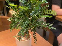 -CURRY YA 熟成咖哩專門店(深圳湾万象城店)