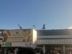 -维也纳国际机场