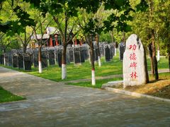 -大槐树寻根祭祖园