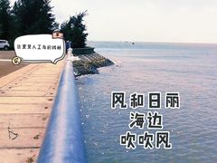 -东郊椰林