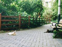 -苏州河梦清园环保主题公园