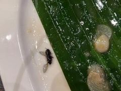 -松茸小馆·云南特色餐厅