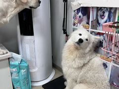 -汪说·狗咖(旺城大厦店)