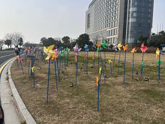 -苏州湾体育公园