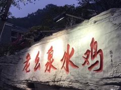 -老幺泉水鸡