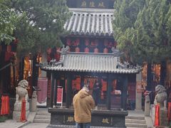 -秋霞圃