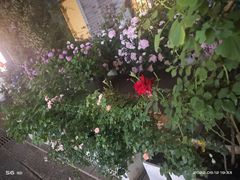 -边渡咖啡烘焙店(昙华林店)