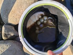 -天津东疆湾沙滩景区