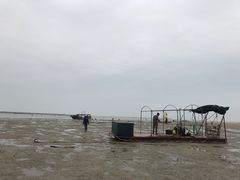 -北海金海湾红树林生态旅游区