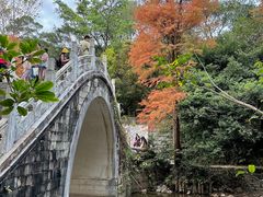 -深圳仙湖植物园