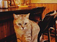-隅cafe(傅厚岗店)