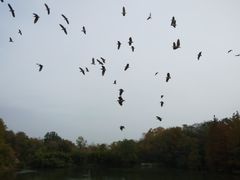 -雨花台烈士纪念馆