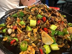 -湘仔肥肠(煤机街店)