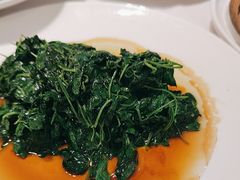 -新吉士·上海菜(浦东LCM置汇旭辉店)