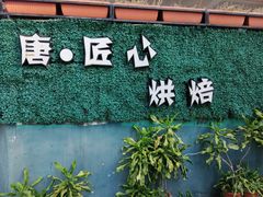 -唐·匠心·动物奶油·冰淇淋蛋糕(石岐店)
